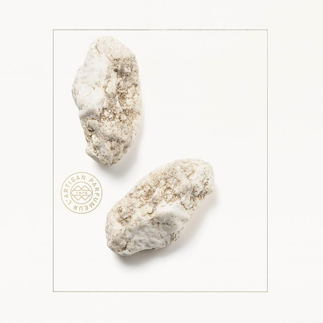 AMBERGRIS_INGREDIENT_IMAGE