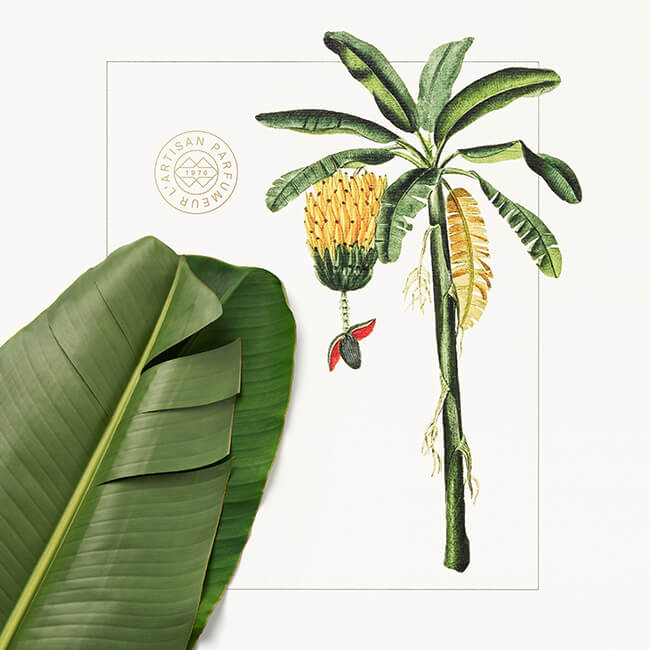 Bana Banana Eau de Parfum 100ml | L'Artisan Parfumeur US