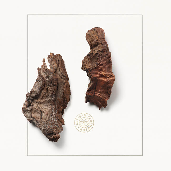 CASHMERAN_INGREDIENT_IMAGE