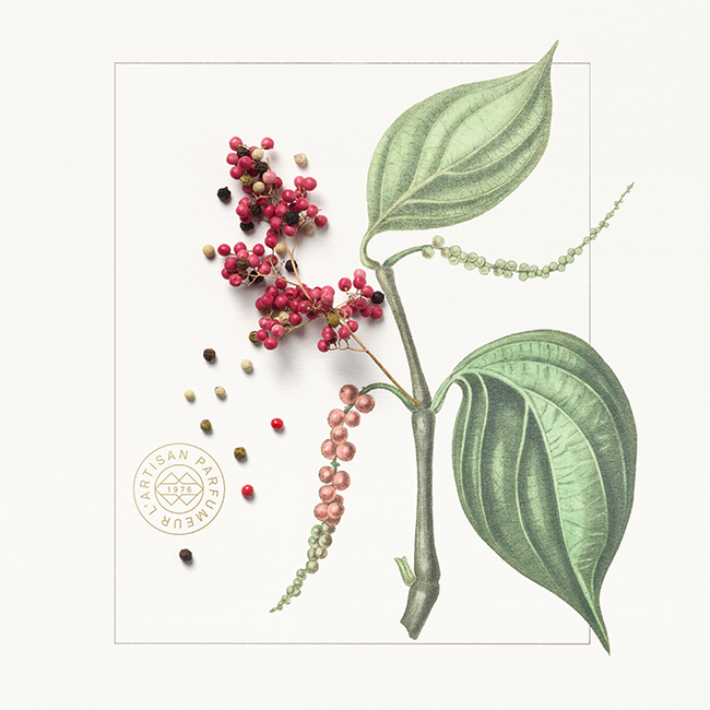 Timbuktu Eau de Toilette 100ml | L'Artisan Parfumeur US