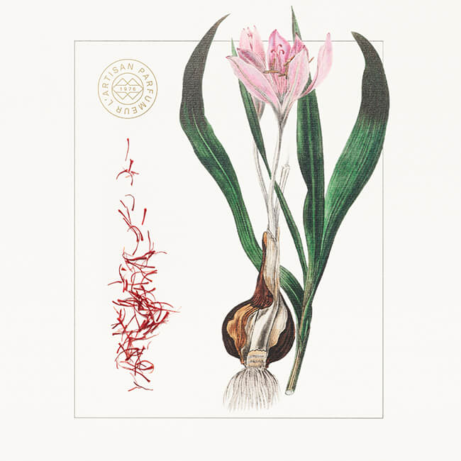 Légendes du Cèdre 1.5ml | L'Artisan Parfumeur