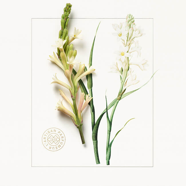 La Chasse aux Papillons Extrême Eau de Parfum 100ml | L