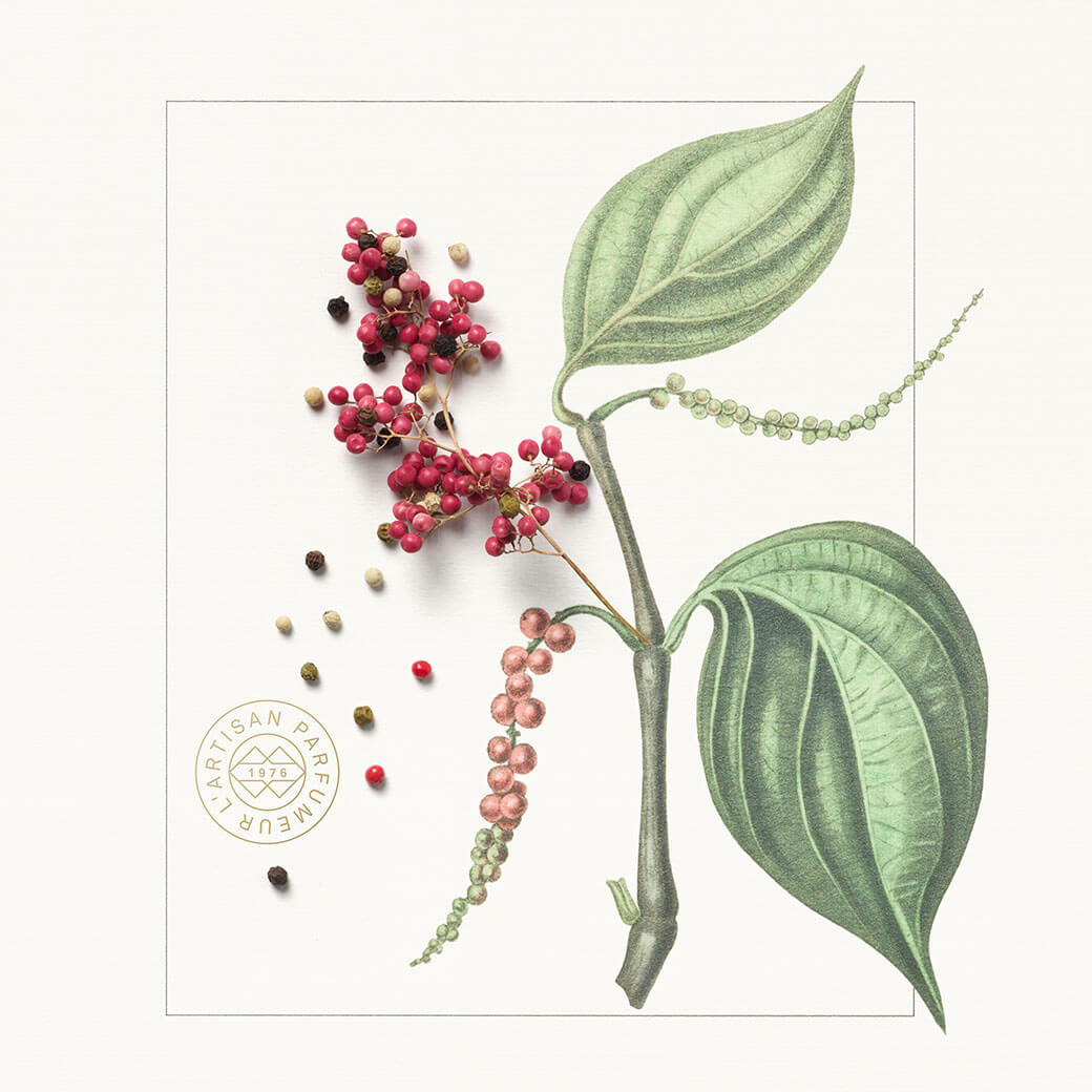HDO_EXT_1040x1040_Pink_Pepper.jpg