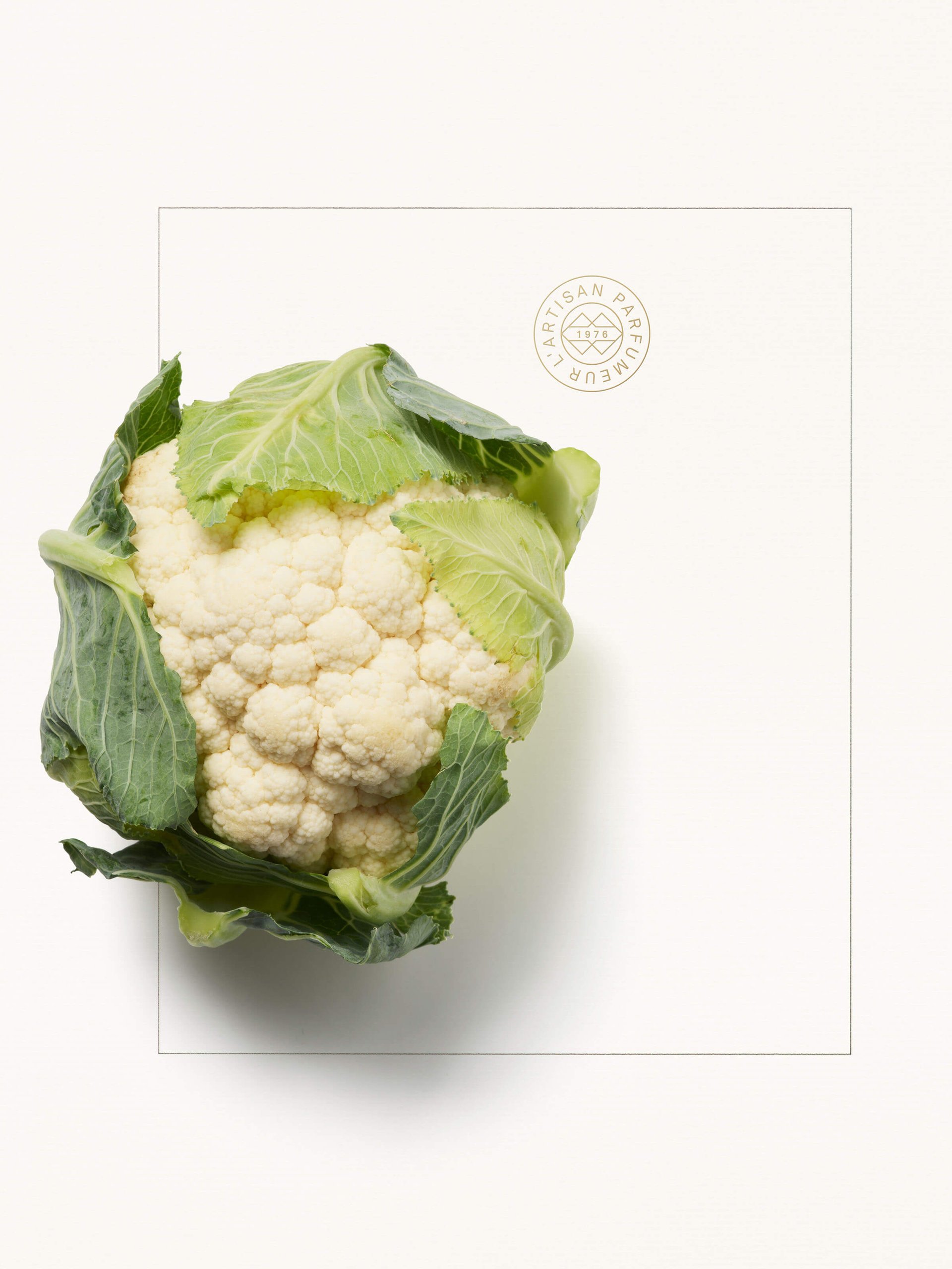 Ingredient_Le_Potager_Article_Thumbnails_CAULIFLOWER.jpg