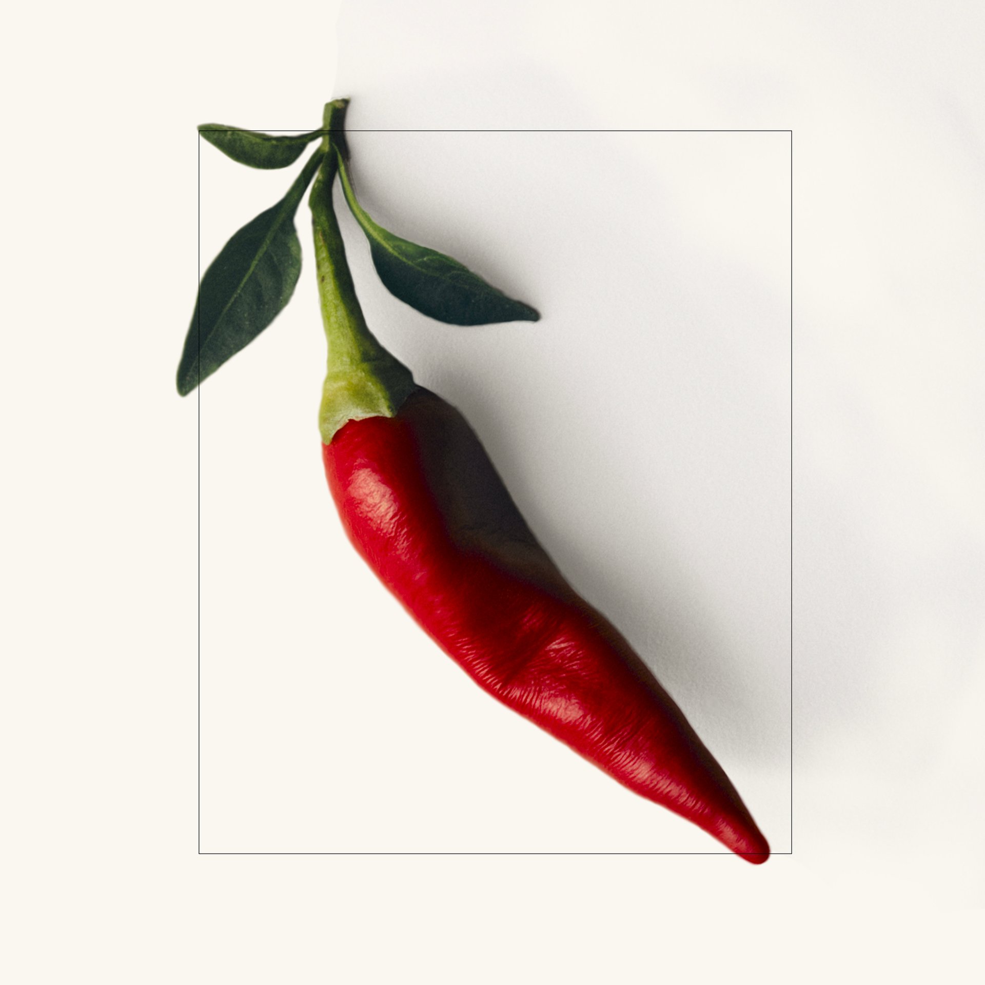 PIMENT.jpg