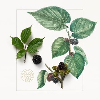Mûre et Musc Extrême 100ml | L'Artisan Parfumeur