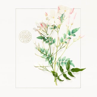 La Chasse aux Papillons Extrême Eau de Parfum 100ml | L