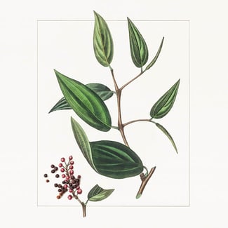 La Ceremonie de l'Encens Eau de Parfum 75ml | L'Artisan Parfumeur