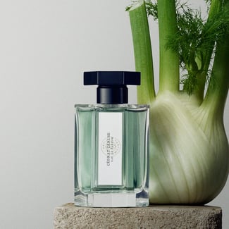 CEDRAT CERUSE EDP 100ML