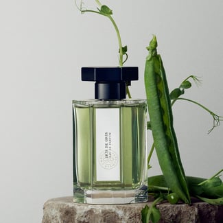 IRIS DE GRIS EDP 100ML