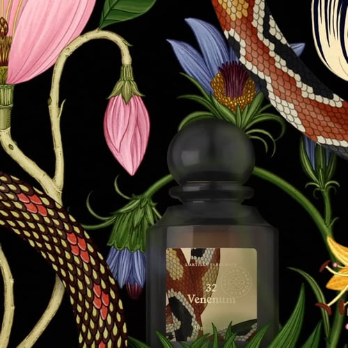 VENENUM EDP 75ML LBxKS