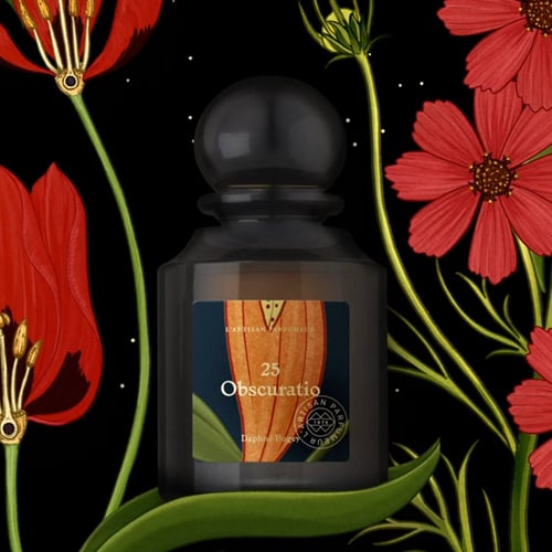 OBSCURATIO EDP 75ML LBxKS