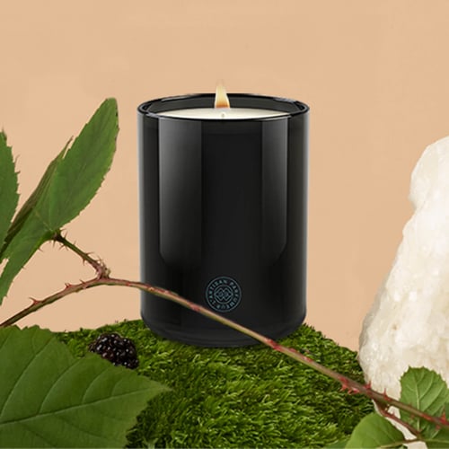 CANDLE MURE SAUVAGE 250G