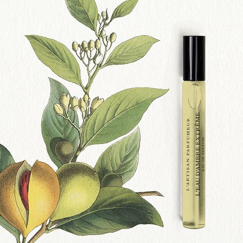 LEAU D'AMBRE EXT EDP10ML-LES CUIRS RPK21