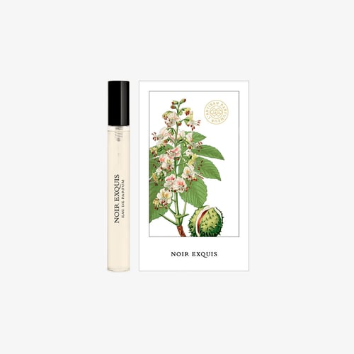 NOIR EXQUIS EDP10ML - LES CUIRS REPACK21