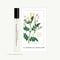 LA CHASSE PAP EDT10ML - LES CUIRS RPK 21