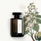 EDP NOIR EXQUIS 100 ML
