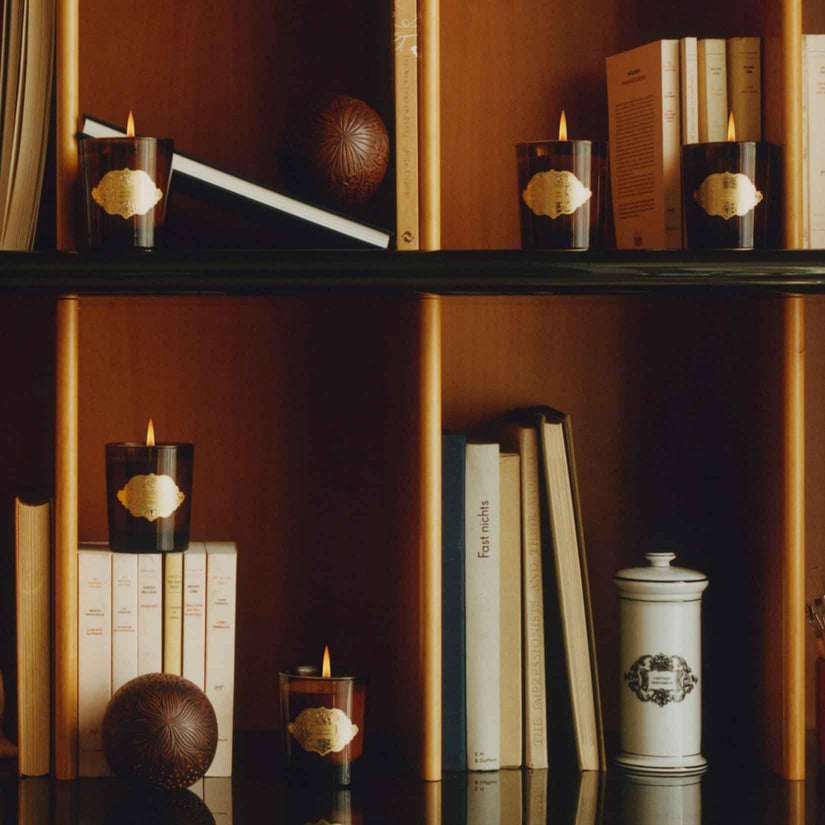 LAP FIGUIER CANDLE 240G